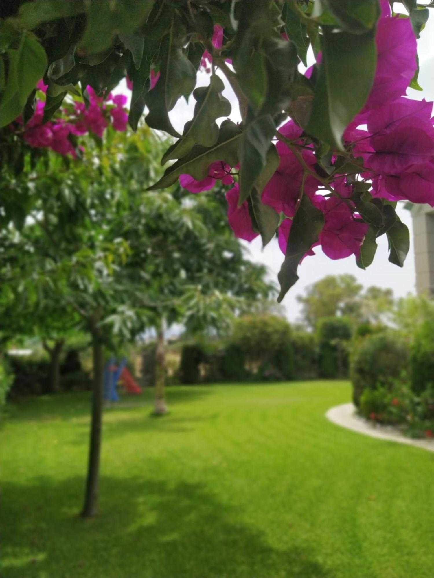 House In The Garden Holiday home